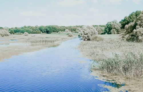 Le Val Suzenay - Foto 59