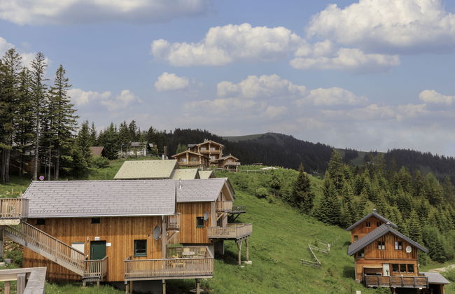 Klippitzrose - Foto 30