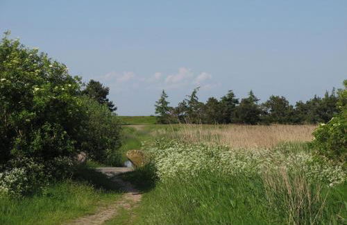 Urlaub bei Familie Lasch - Foto 12