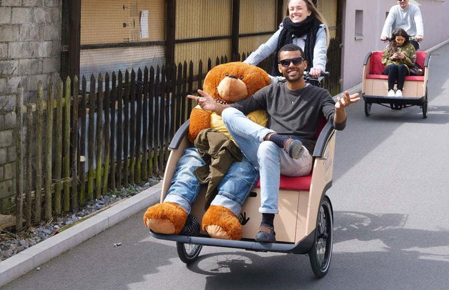 Lucerne Electric Cargo Bike Tour - Photo 6