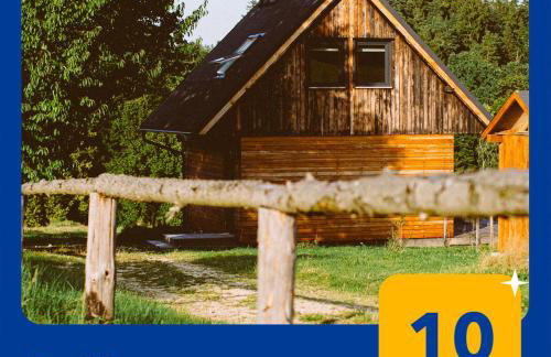 Przewietrzona Głowa - Foto 1