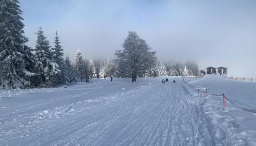 Ferienwohnung - Photo 3