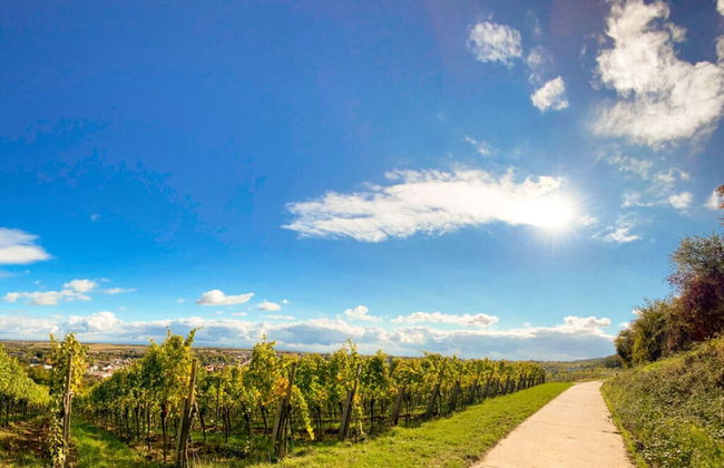 Holiday Apartment Faller-greiner - Photo 14