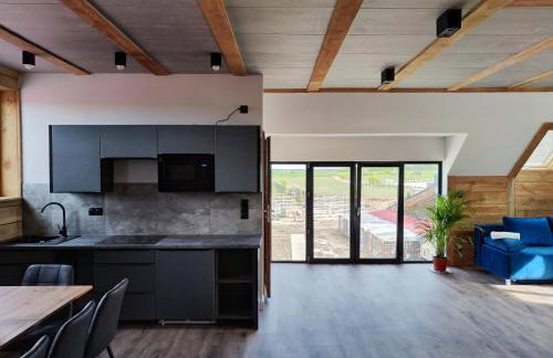 Vigor Horses - Foto 21