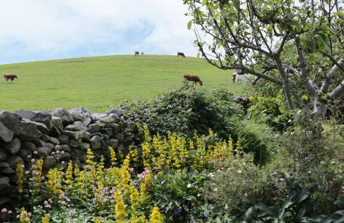 Waingate Cottage - Foto 30