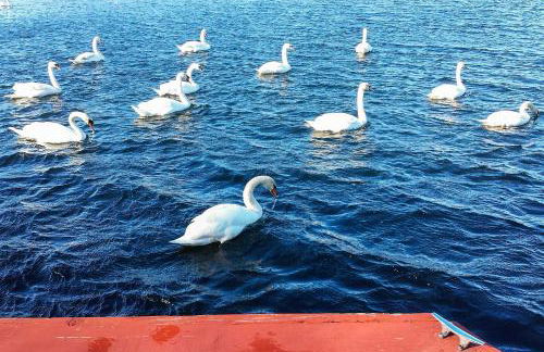 Pond Access and Private Dock East Wareham Home - Foto 25