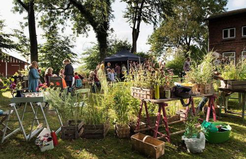 Ferienhaus Hof Papenwohld - Naturpark, Gartensauna - Foto 73