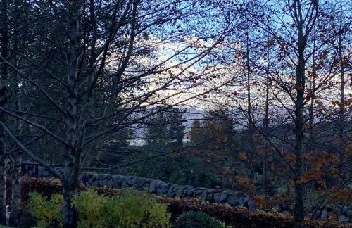 Rostrevor Valley Holiday Park- En-suite Rooms with Hot tub and Private Car Service - Foto 24