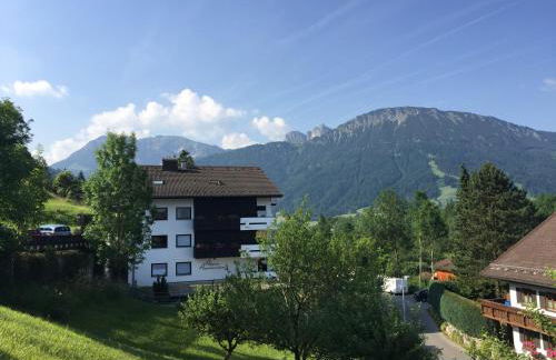 Alpensternchen - Foto 21