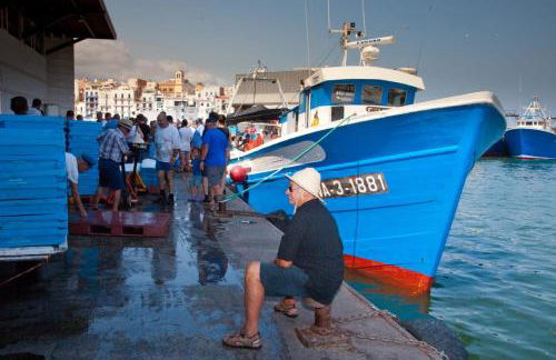 ROQUES DAURADES III - JARDIN PRIVADO - Foto 48