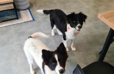 Na Skraju - Pogorzelica - Domki Rekreacyjne lokal D - Foto 15