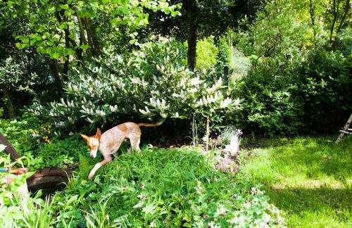 Großstrasse 18 B - Foto 11