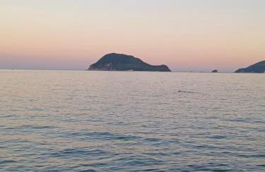 Olive holiday home - Photo 44