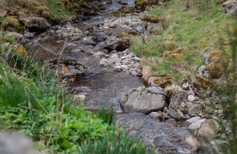 Kennels Cottage - Foto 31