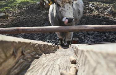 MarEwa Ferien - Photo 22