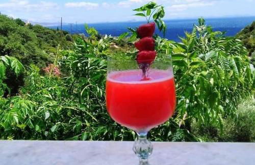 Paradisos House - Foto 5