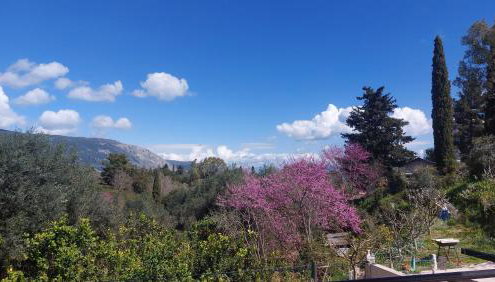 Turla's Apartment - Foto 3