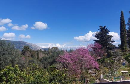 Turla's Apartment - Foto 3