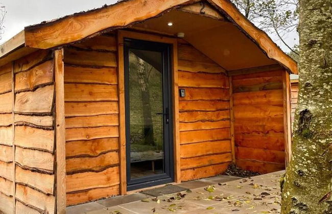 1 Bedroom Log Cabin in Parc Pen y Bryn Sleep 2/3 - Foto 9