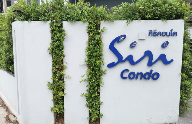 Homerent at Mountain Central Festival - Foto 13