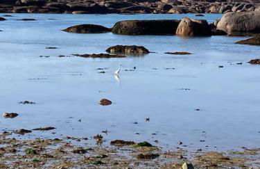 La Bernique blanche de Perros vue mer 4 personnes - Foto 4
