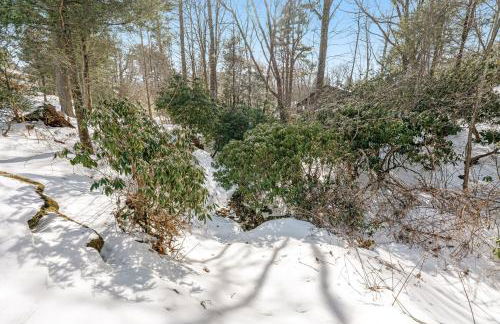 Boone Bounty - Foto 31