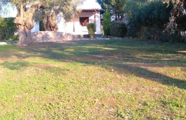 Saint Andrews Bay - Foto 26