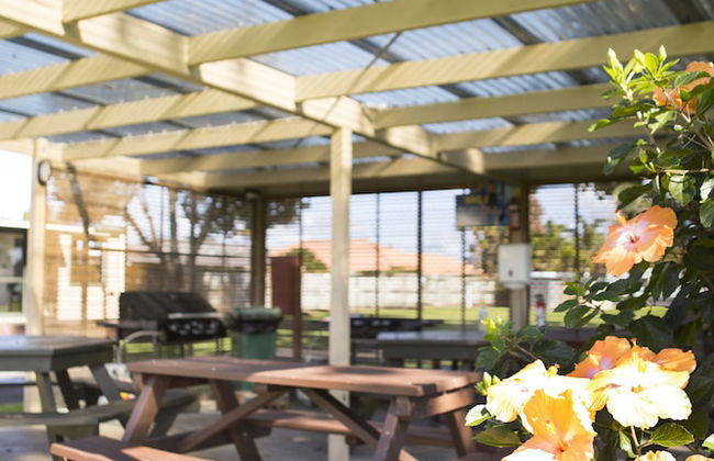 Mercury Bay Holiday Park - Foto 62