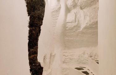 Ioulis Century Home - Photo 29