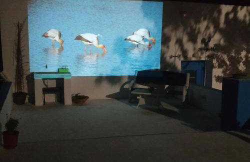 Villa Kotetsi - Rooms To Let - Volissos - Chios - Foto 20