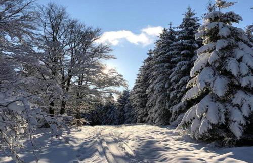 Large Apartment in the Beautiful Sauerland With Garden, Patio and Sauna - Foto 44