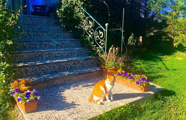 Villa Gudca - Foto 32