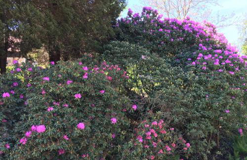 Ferienwohnung Möckel - Foto 3