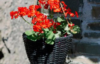 Armonia Pramanta Mountain Tzoumerka - Photo 32