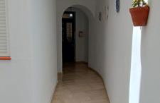 La Alboreá - Foto 42