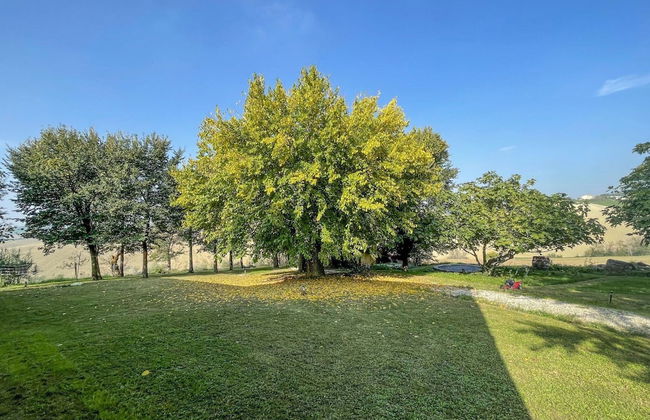 Amazing Apartment in Belvedere Ostrense With Garden - Foto 41