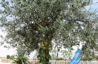 Casa le Gebbie - Photo 48