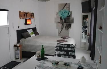 Chillkröte - Foto 21