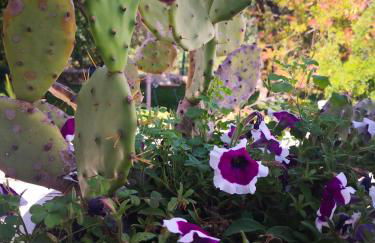 Agriturismo Salinola - Foto 112