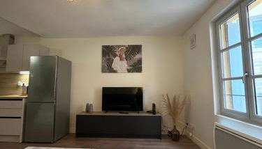 Joli Duplex Centre Montpellier - Maconciergerie34 - Foto 3, pet friendly