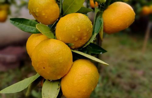 Peaks & Waves Apartment - Photo 24