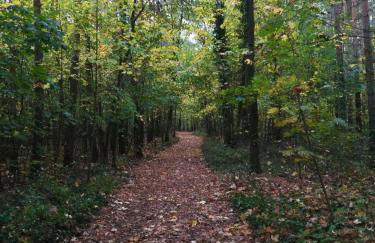 FeWo in Köpenick - Foto 17