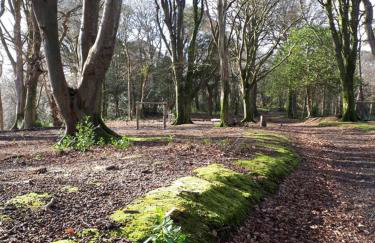 Woodland Retreat - Foto 40