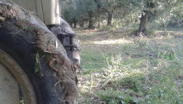 Colle Bianco - Foto 5, Other