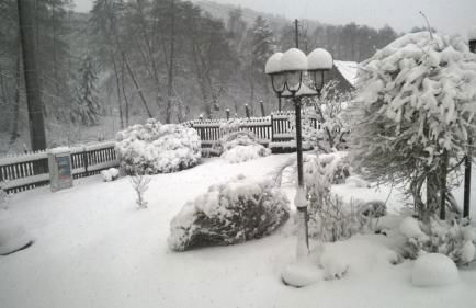 Ferienwohnung im grünen Muldental - Foto 42