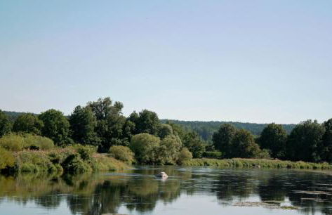 Ferienwohnung Maria - Foto 32