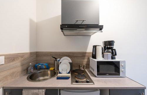 Studianzin - Foto 15