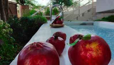 Casa Horizon - Foto 3