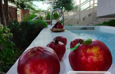 Casa Horizon - Foto 3