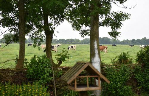 Appartement Pico - Foto 12